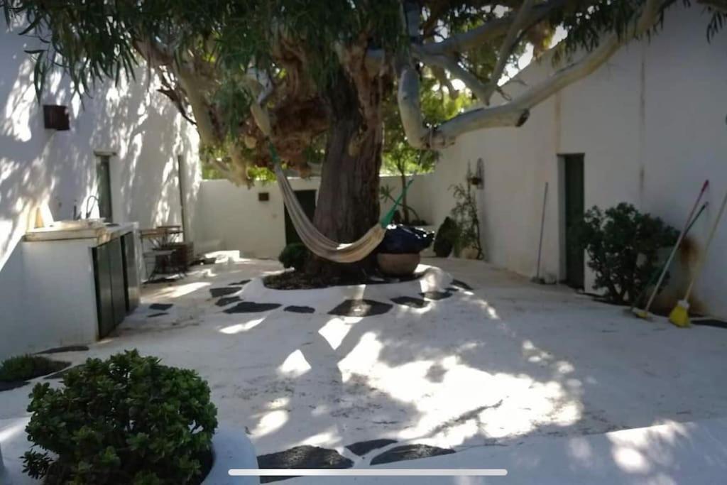 Lovely Studio In Original Finca La Asomada  Ngoại thất bức ảnh